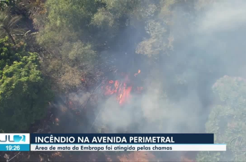  VÍDEOS: Jornal Liberal 2° Edição de sábado, 14 de setembro de 2024